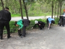 Басейнова дирекция – Плевен се включи  в кампанията „Да изчистим България за един ден”